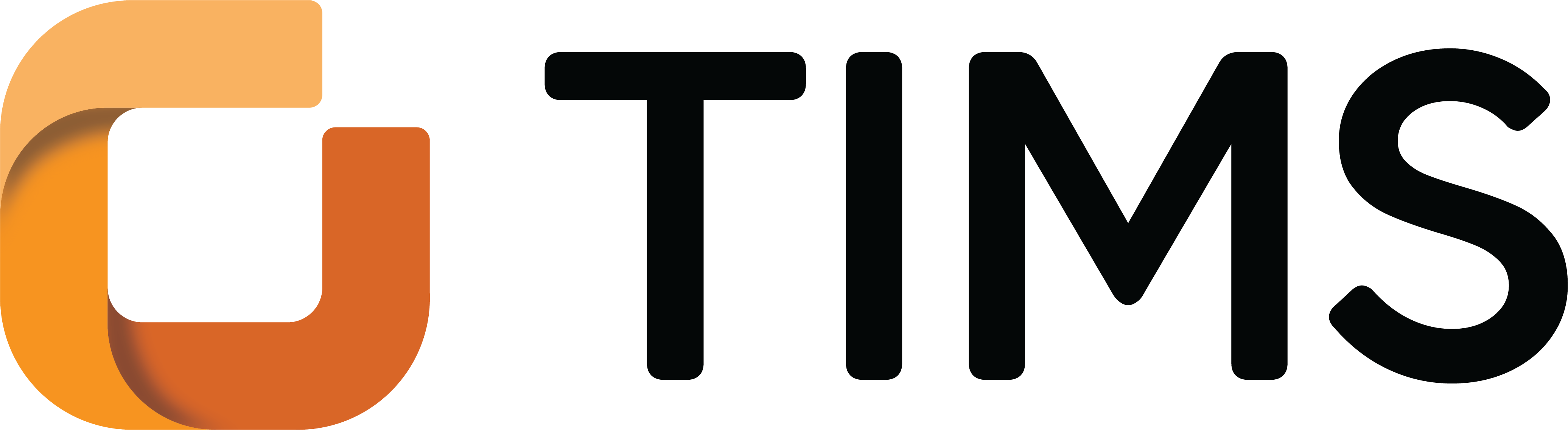 Logo-tims