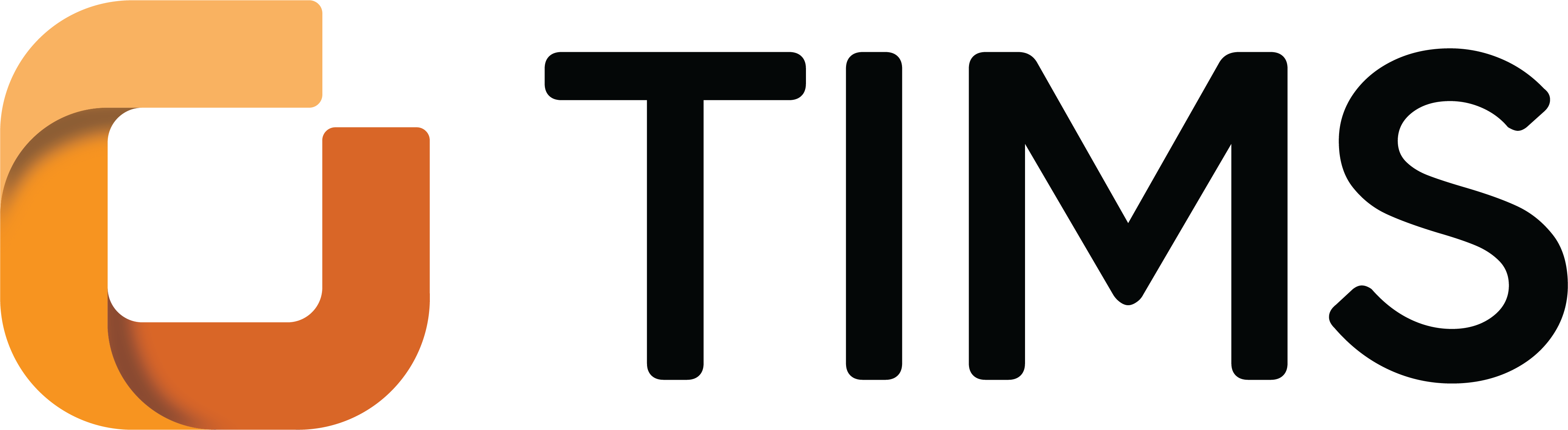 Logo-tims